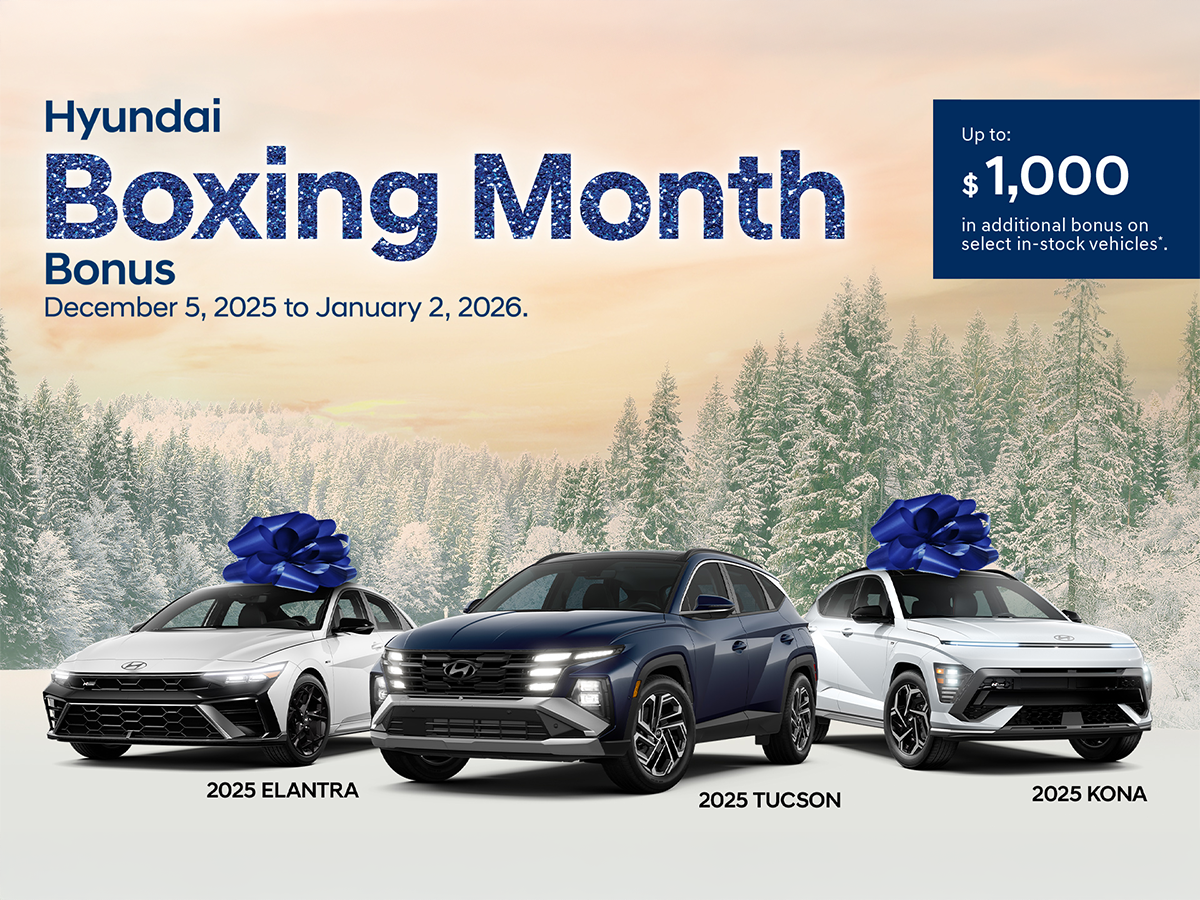 Hyundai Boxing Month